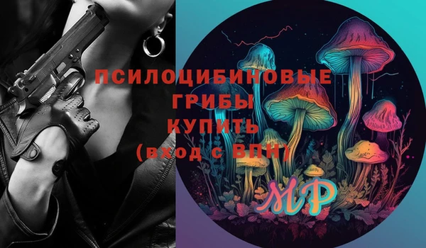 винт Инсар