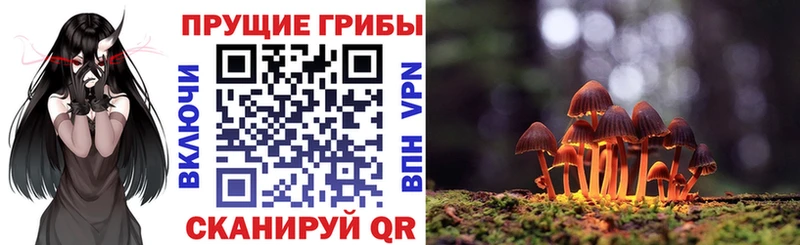 Галлюциногенные грибы Psilocybe  Купить закладки  Тюмень 
